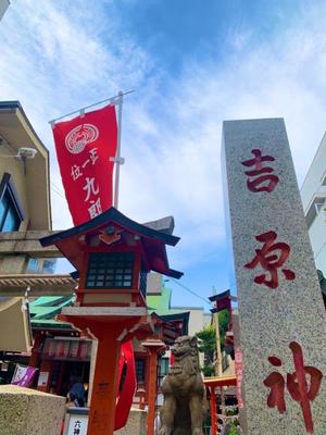 一ノ瀬　あやこの写メ日記｜エル・カーヒル 秘密の刻 吉原高級店ソープ