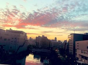 一ノ瀬　あやこの写メ日記｜エル・カーヒル 秘密の刻 吉原高級店ソープ