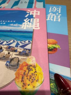 一ノ瀬　あやこの写メ日記｜エル・カーヒル 秘密の刻 吉原高級店ソープ