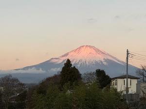 一ノ瀬 あやこの写メ日記|エル・カーヒル 秘密の刻 吉原高級店ソープ