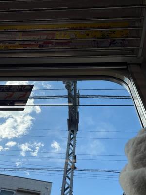 一ノ瀬　あやこの写メ日記｜エル・カーヒル 秘密の刻 吉原高級店ソープ