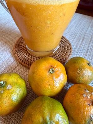 一ノ瀬　あやこの写メ日記｜エル・カーヒル 秘密の刻 吉原高級店ソープ