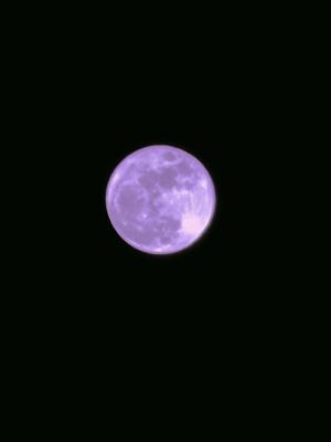 一ノ瀬　あやこの写メ日記｜エル・カーヒル 秘密の刻 吉原高級店ソープ