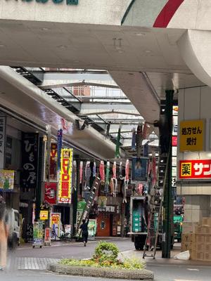 一ノ瀬　あやこの写メ日記｜エル・カーヒル 秘密の刻 吉原高級店ソープ