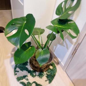 倉多　みなみの写メ日記｜エル・カーヒル 秘密の刻 吉原高級店ソープ