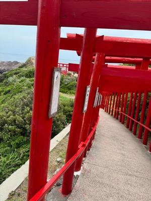 天使　つむぎの写メ日記｜エル・カーヒル 秘密の刻 川崎高級店ソープ