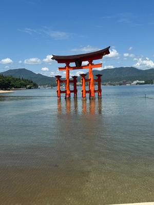 天使　つむぎの写メ日記｜エル・カーヒル 秘密の刻 川崎高級店ソープ