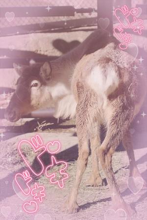 結城　ましろの写メ日記｜エル・カーヒル 秘密の刻 吉原高級店ソープ