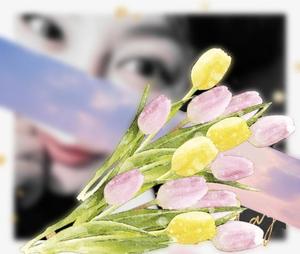 篠田 まやの写メ日記|エル・カーヒル 秘密の刻 吉原高級店ソープ