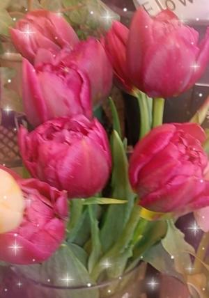 篠田　まやの写メ日記｜エル・カーヒル 秘密の刻 吉原高級店ソープ