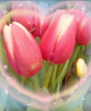 篠田　まやの写メ日記｜エル・カーヒル 秘密の刻 吉原高級店ソープ