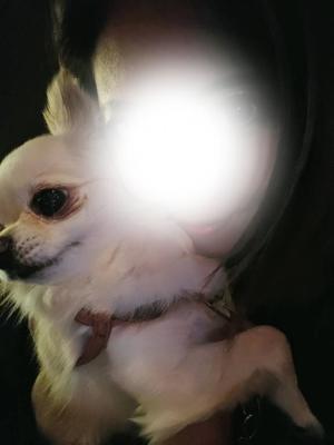 夏樹　れんの写メ日記｜エル・カーヒル 秘密の刻 吉原高級店ソープ