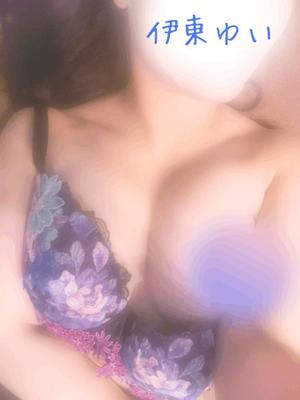 伊東　ゆいの写メ日記｜エル・カーヒル 秘密の刻 吉原高級店ソープ