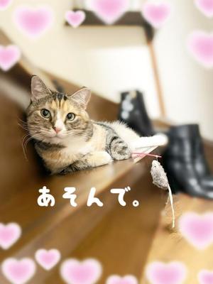 Chiaki Arimaの写メ日記｜エレガント 川崎高級店ソープ