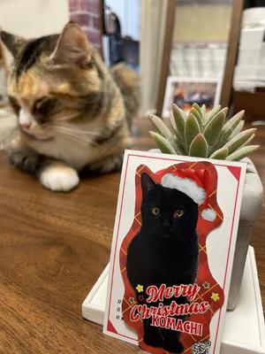 Chiaki Arimaの写メ日記｜エレガント 川崎高級店ソープ