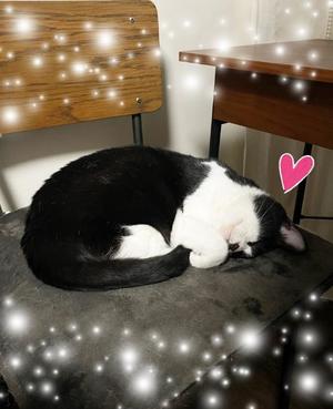 Chiaki Arimaの写メ日記｜エレガント 川崎高級店ソープ