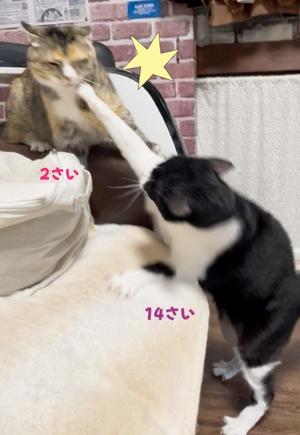 Chiaki Arimaの写メ日記｜エレガント 川崎高級店ソープ