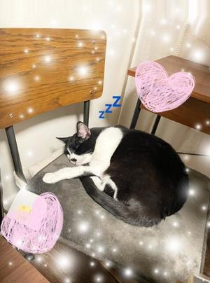 Chiaki Arimaの写メ日記｜エレガント 川崎高級店ソープ