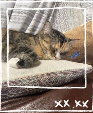 Chiaki Arimaの写メ日記｜エレガント 川崎高級店ソープ