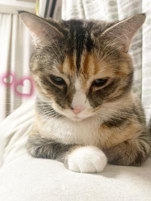 Chiaki Arimaの写メ日記｜エレガント 吉原高級店ソープ