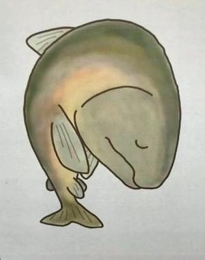 Chiaki Arimaの写メ日記｜エレガント 吉原高級店ソープ