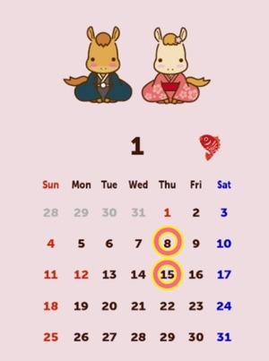 Reiko Igawaの写メ日記｜エレガント 川崎高級店ソープ