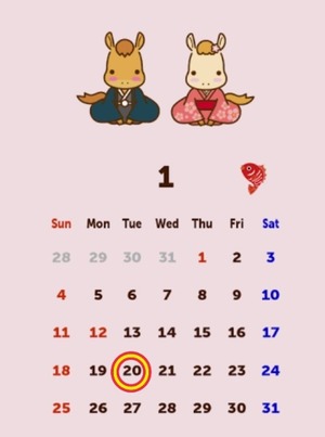 Reiko Igawaの写メ日記｜エレガント 吉原高級店ソープ