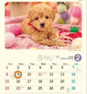 Reiko Igawaの写メ日記｜エレガント 吉原高級店ソープ