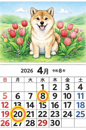 Reiko Igawaの写メ日記｜エレガント 吉原高級店ソープ