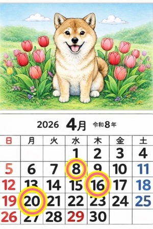 Reiko Igawaの写メ日記｜エレガント 川崎高級店ソープ