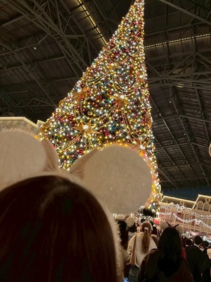 Misaki Arimuraの写メ日記｜エレガント 吉原高級店ソープ