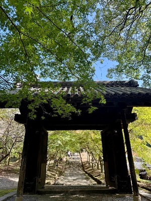 Ren Saotomeの写メ日記｜エレガント 吉原高級店ソープ