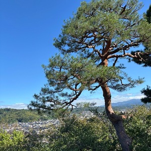 Yu Shiraneの写メ日記｜エレガント 吉原高級店ソープ