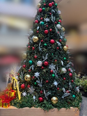 Yu Shiraneの写メ日記｜エレガント 吉原高級店ソープ