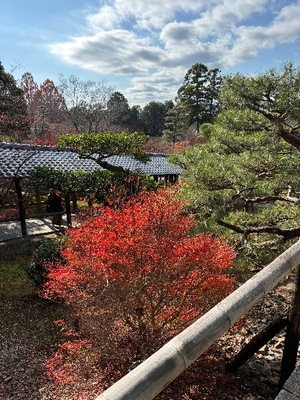 Yu Shiraneの写メ日記｜エレガント 吉原高級店ソープ