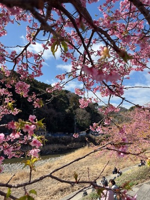 Yu Shiraneの写メ日記｜エレガント 吉原高級店ソープ