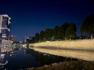 Mami Nonakaの写メ日記｜エレガント 吉原高級店ソープ