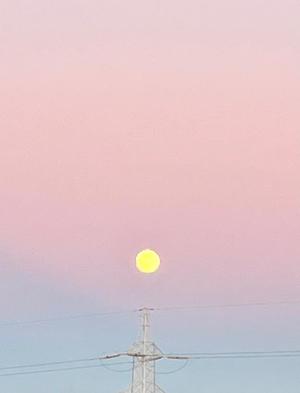 Mami Nonakaの写メ日記｜エレガント 吉原高級店ソープ