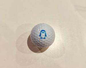 Sanae Himuroの写メ日記｜エレガント 吉原高級店ソープ