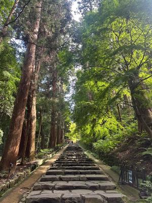 Sanae Himuroの写メ日記｜エレガント 吉原高級店ソープ