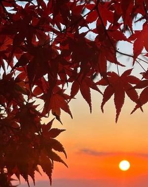 Ayami Imaiの写メ日記｜エレガント 吉原高級店ソープ