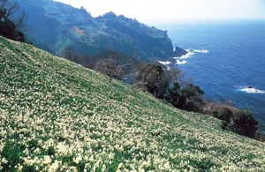 Ayami Imaiの写メ日記｜エレガント 吉原高級店ソープ