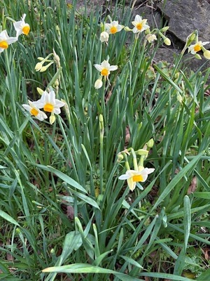 Ayami Imaiの写メ日記｜エレガント 吉原高級店ソープ