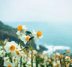 Ayami Imaiの写メ日記｜エレガント 吉原高級店ソープ