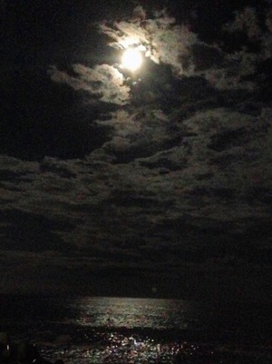 Ayami Imaiの写メ日記｜エレガント 吉原高級店ソープ