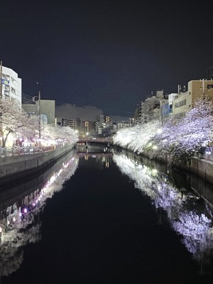 Risa Yuukiの写メ日記｜エレガント 吉原高級店ソープ