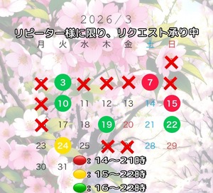 Rin Izumiの写メ日記｜エレガント 吉原高級店ソープ