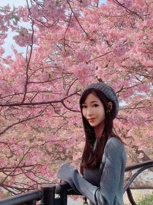 Shizuku Tsukinoの写メ日記｜エレガント 吉原高級店ソープ