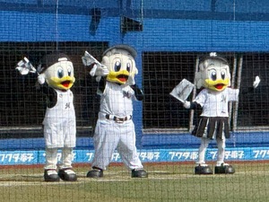 Shizuku Tsukinoの写メ日記｜エレガント 吉原高級店ソープ