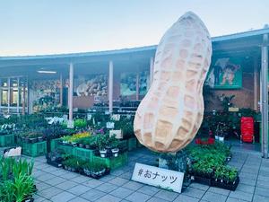 Shizuku Tsukinoの写メ日記｜エレガント 川崎高級店ソープ